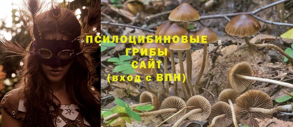 прущий лед Навашино